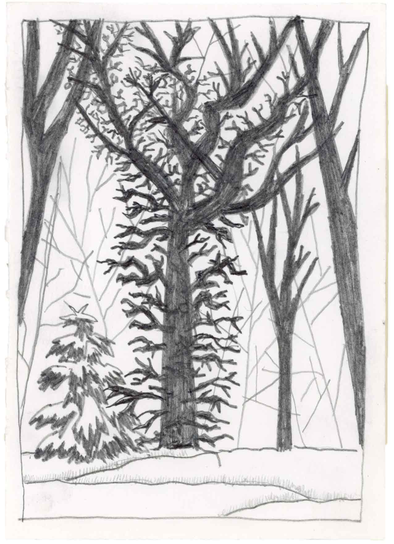 WALDFRIEDHOF
