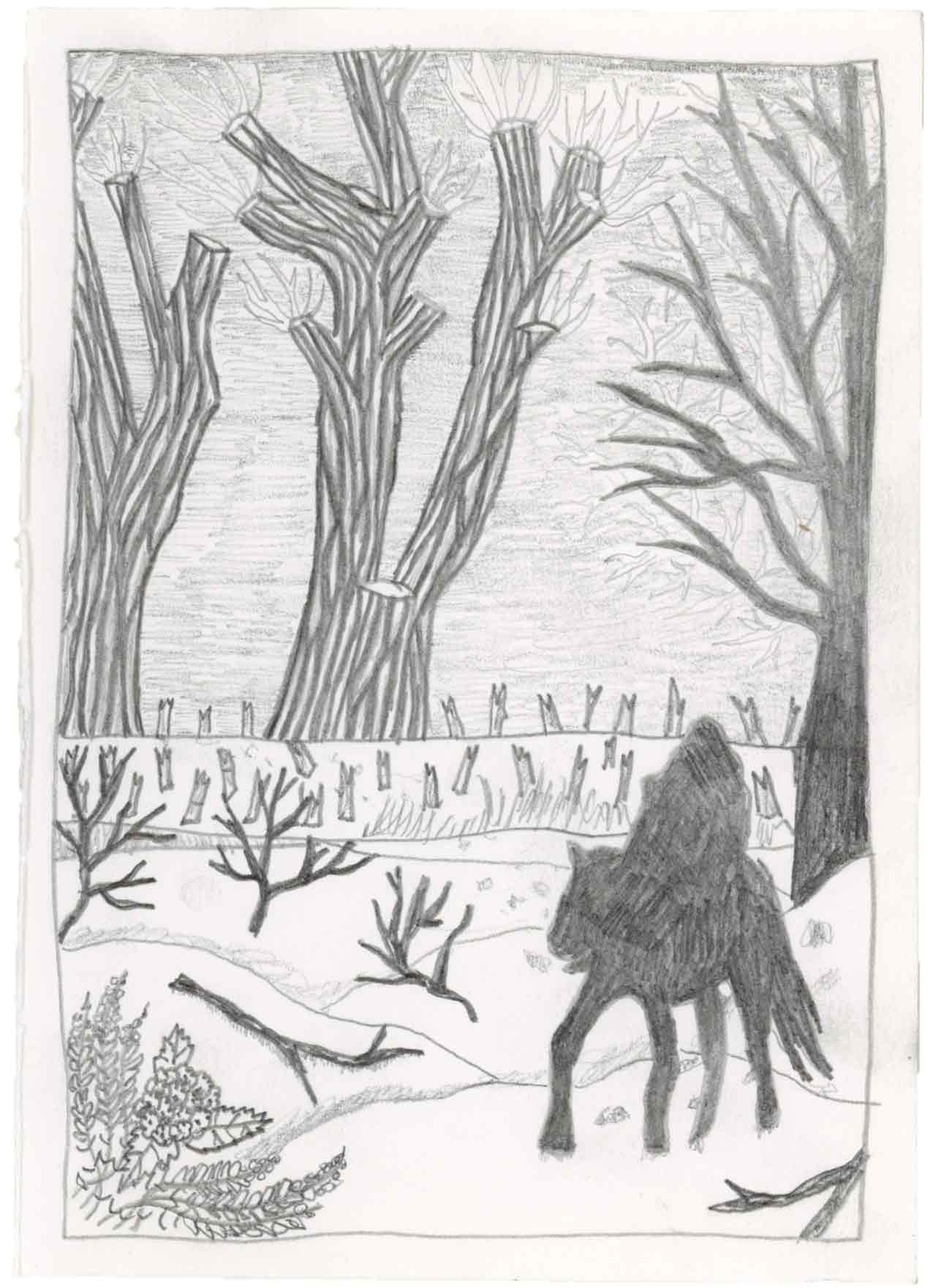 COLDEST WINTER