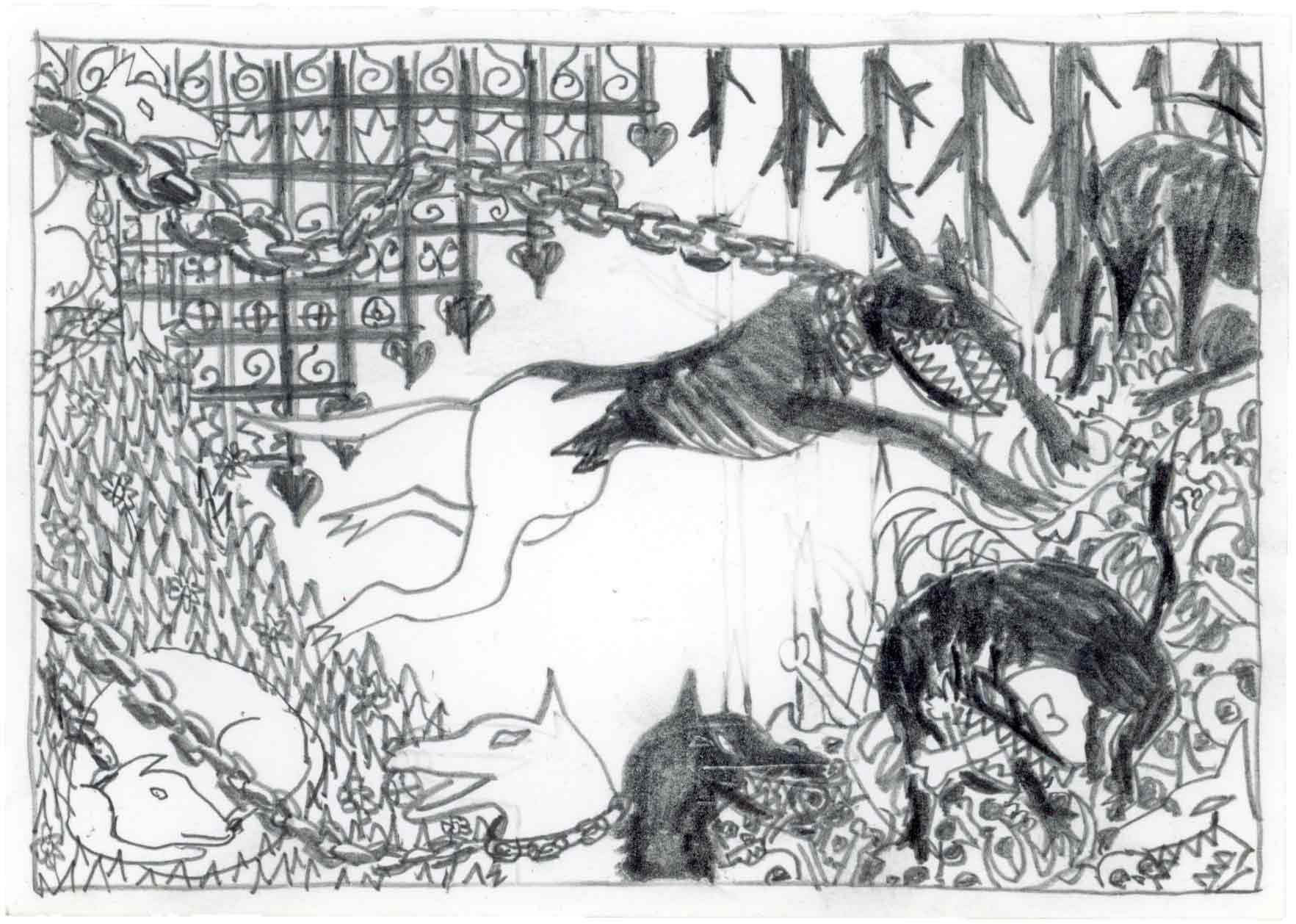 TWO DOG HOUSEHOLD